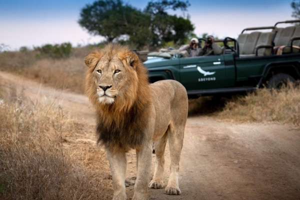 Phinda Big Five Safaris