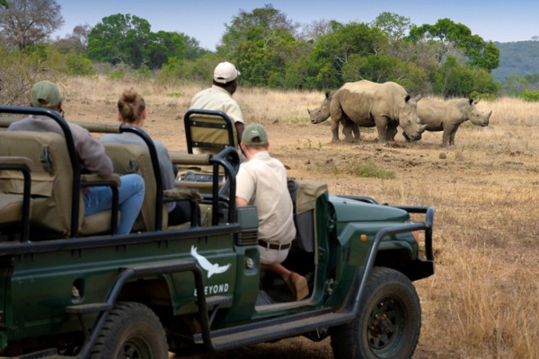 Phinda Private Game Reserve