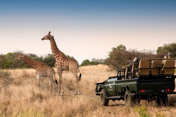 Phinda Private Game Reserve