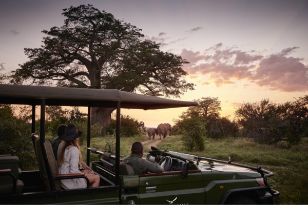 Zambezi National Park Safari