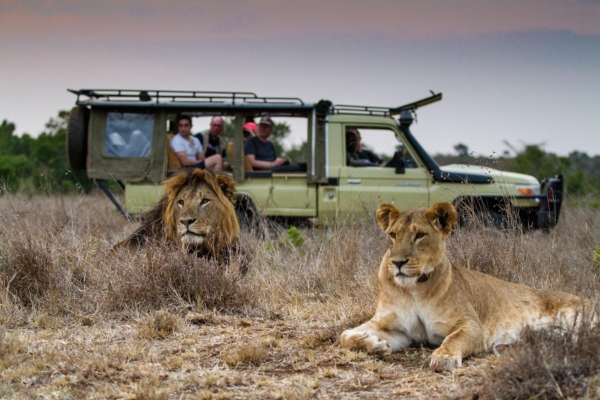 Mugie Wildlife Conservancy