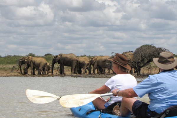 Mugie Paddle Safari