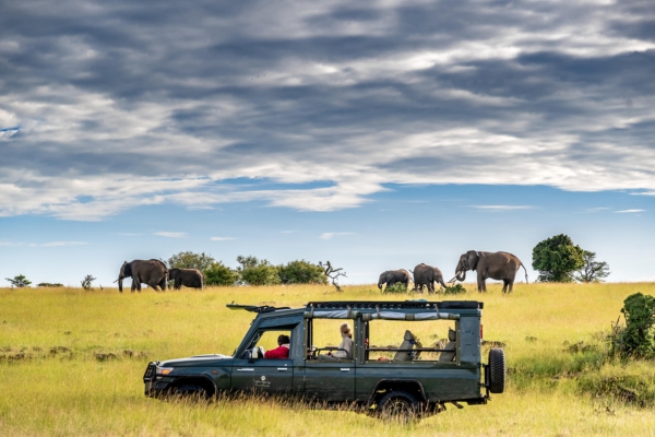 Mara North Safari