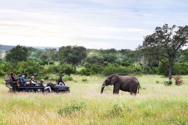 Londolozi Game Reserve