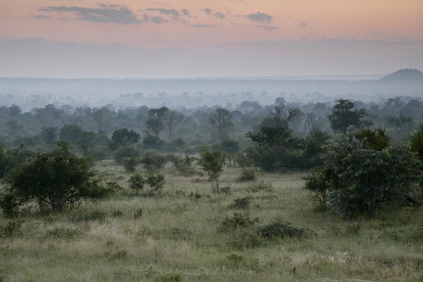 Goodbye Beautiful Africa