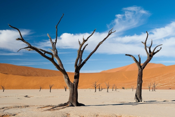 Sossusvlei