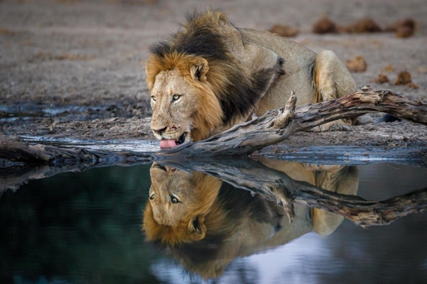 South Africa
