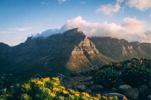 Cape Town Leisure