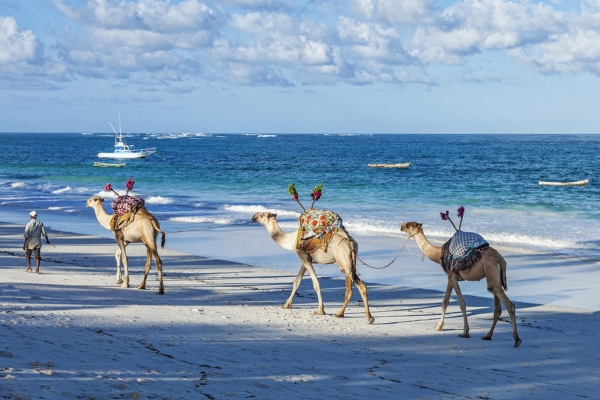 Diani Beach Adventures