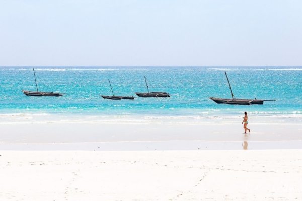 Diani Beach Adventures