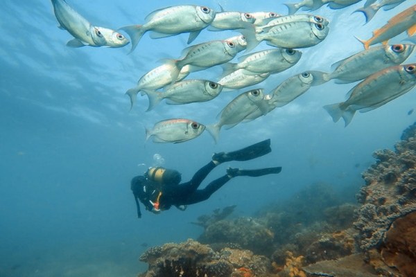 Benguerra Island Activities
