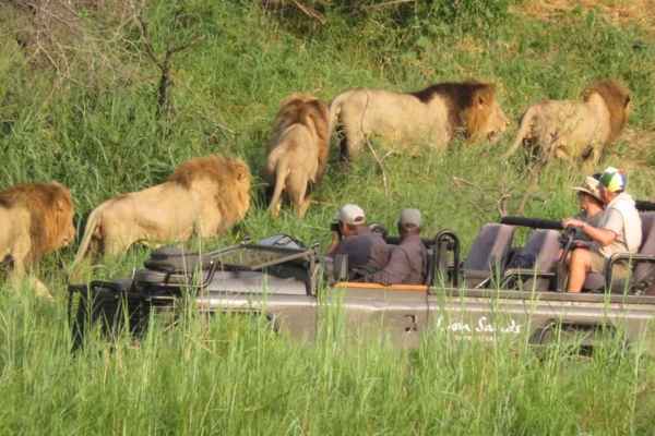 Kruger Park