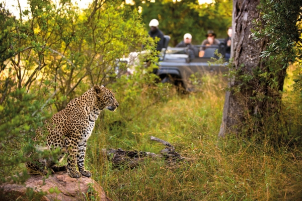 Sabi Sands Private Reserve
