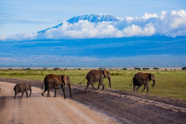 Amboseli National Park