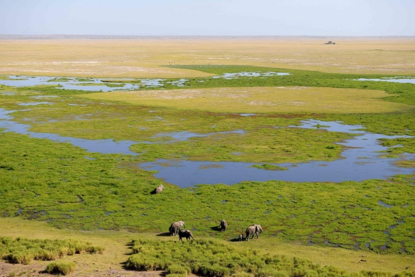 Amboseli National Park
