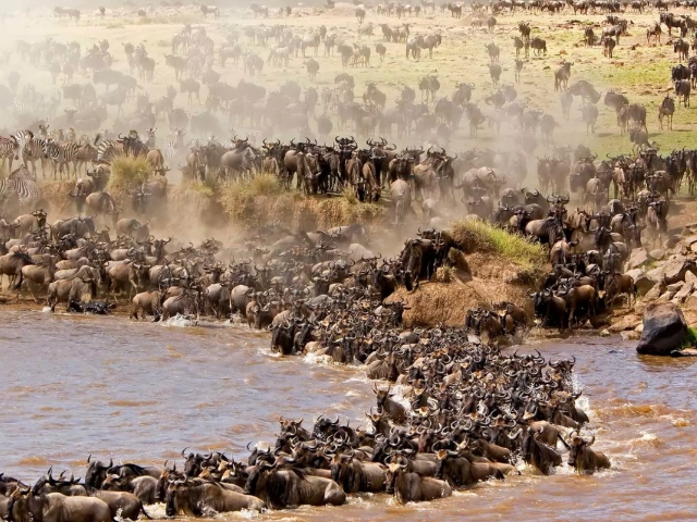 Great Migration