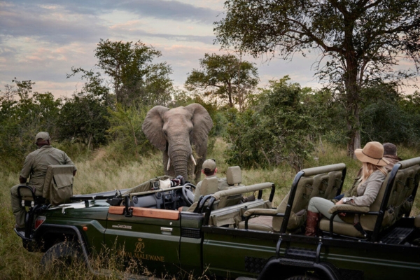 Big Five Safaris
