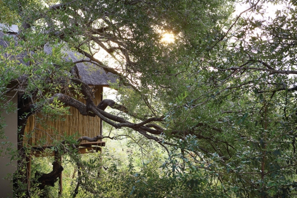 Londolozi Tree Camp