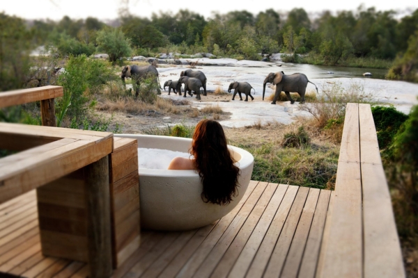 Luxury Accommodation