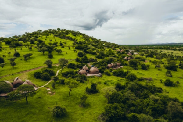 Asanja Nyasirori