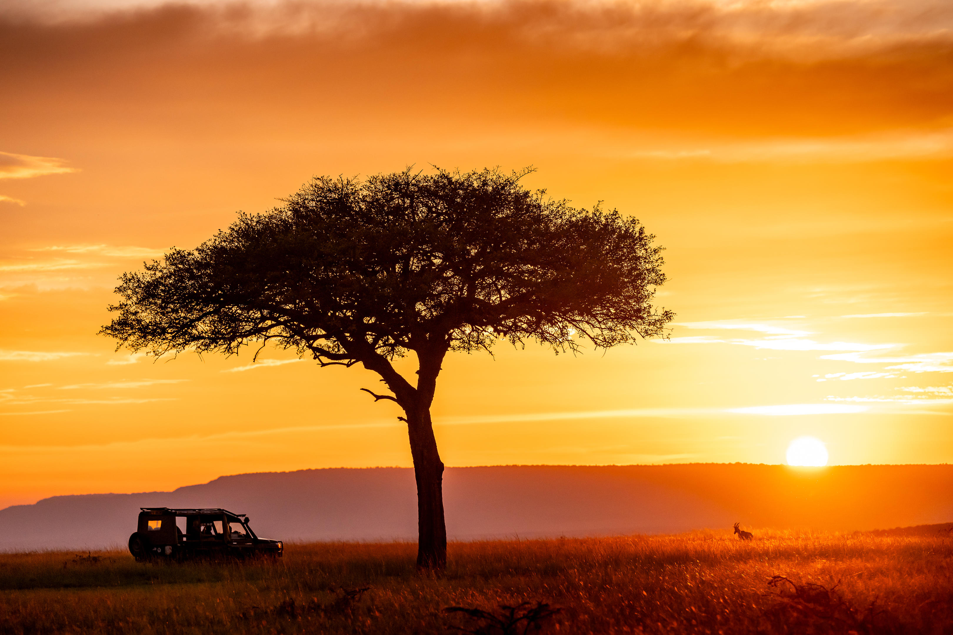 Kenya Explorers