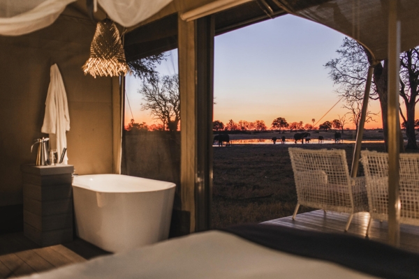 Wilderness Linkwasha