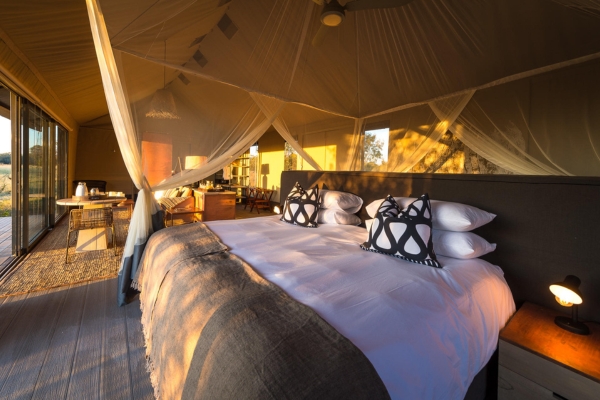 Wilderness Linkwasha - Image 4