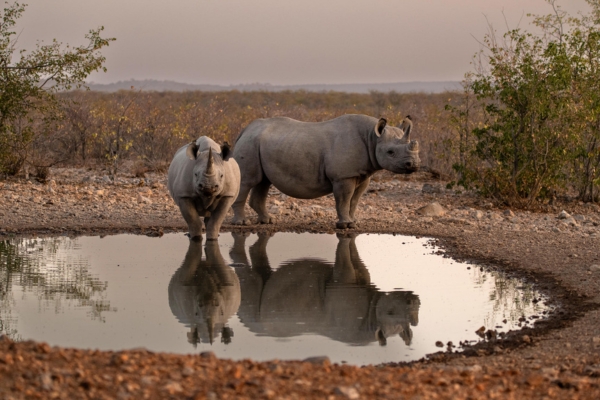 Etosha National Park