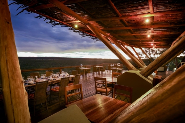 Ongava Lodge - Image 3