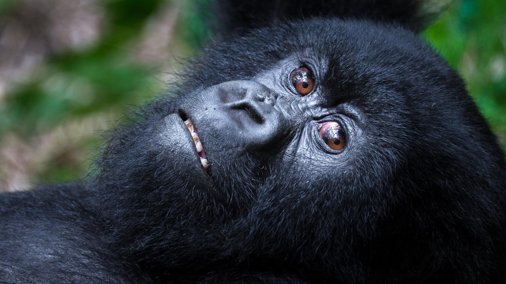 Rwanda