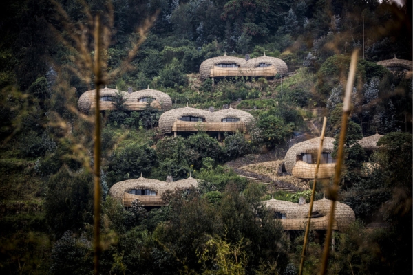 Wilderness Bisate