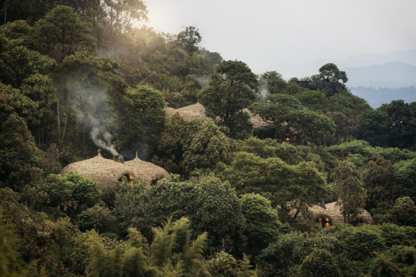 Wilderness Bisate - Image 1