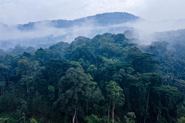 Mgahinga Gorilla National Park