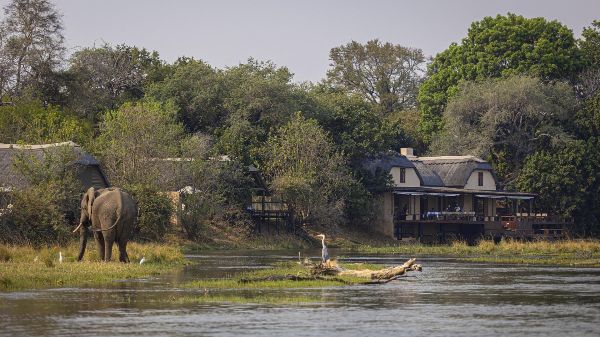 Royal Zambezi Lodge