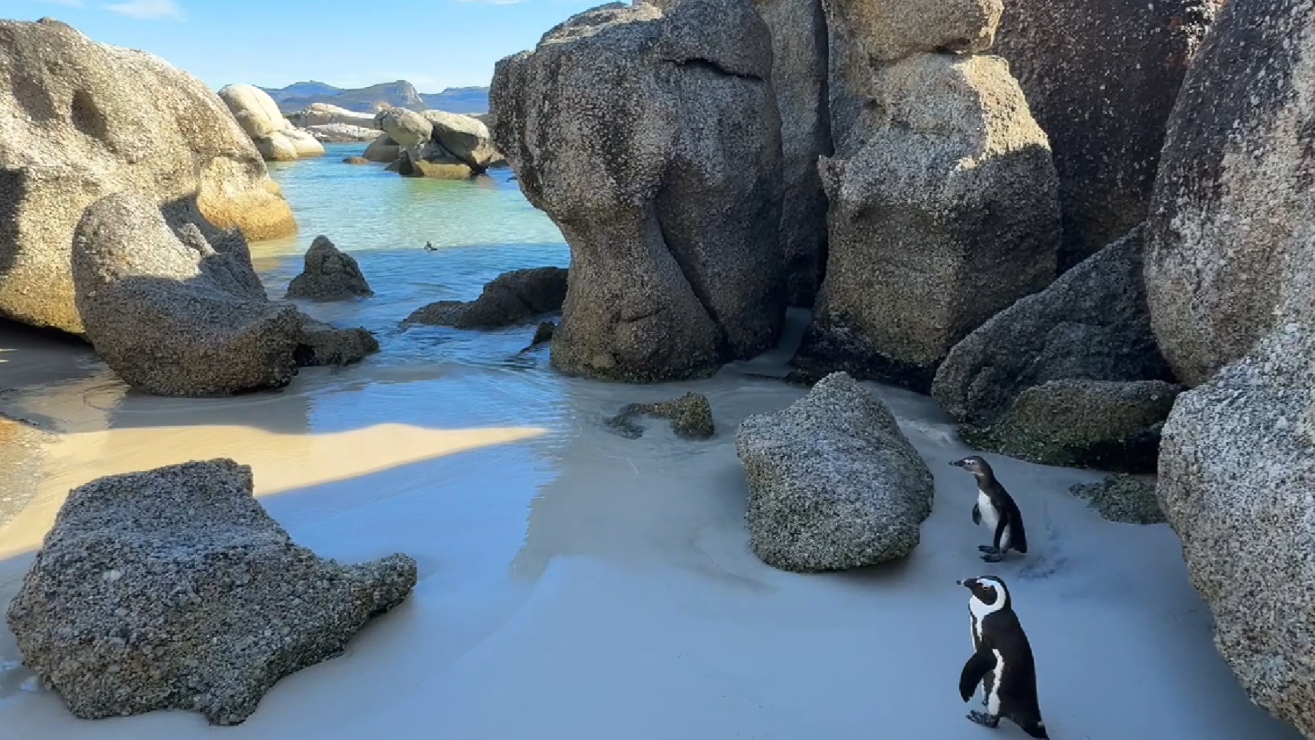 Experience: Cape Coastline