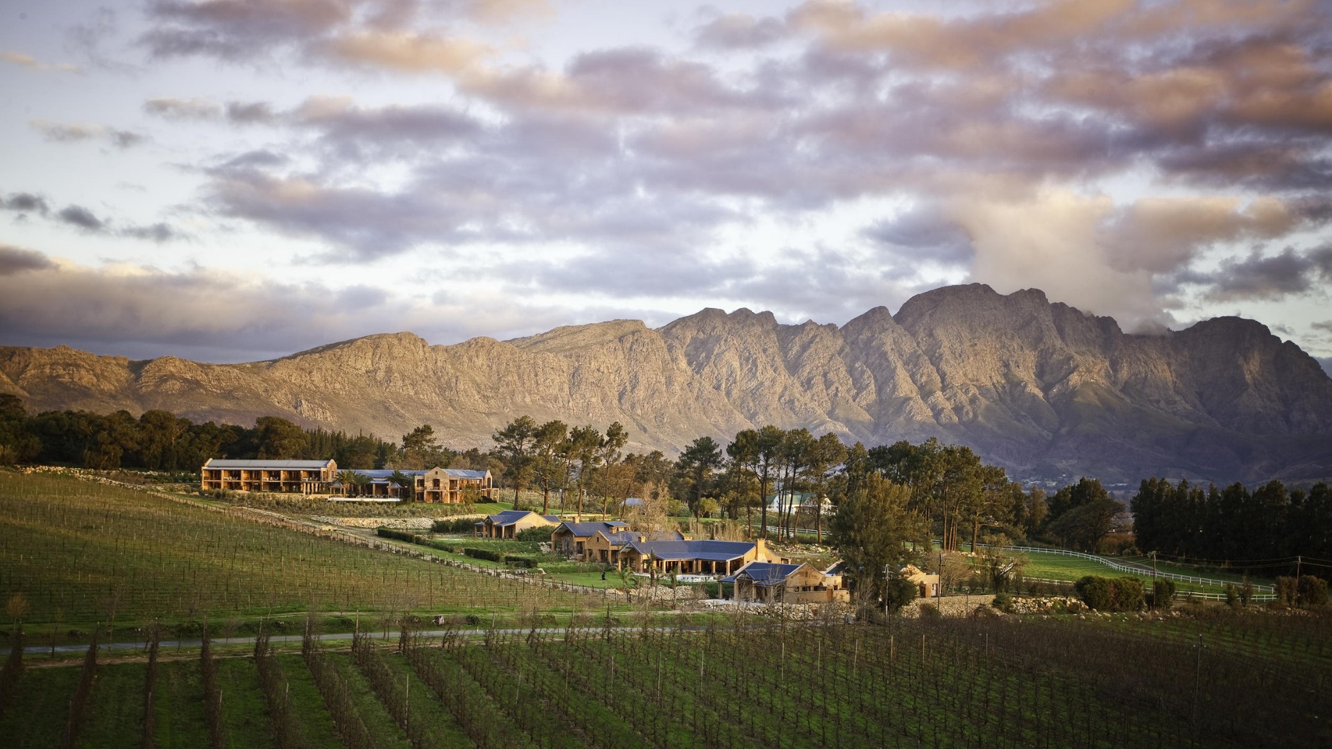 Experience: Cape Winelands