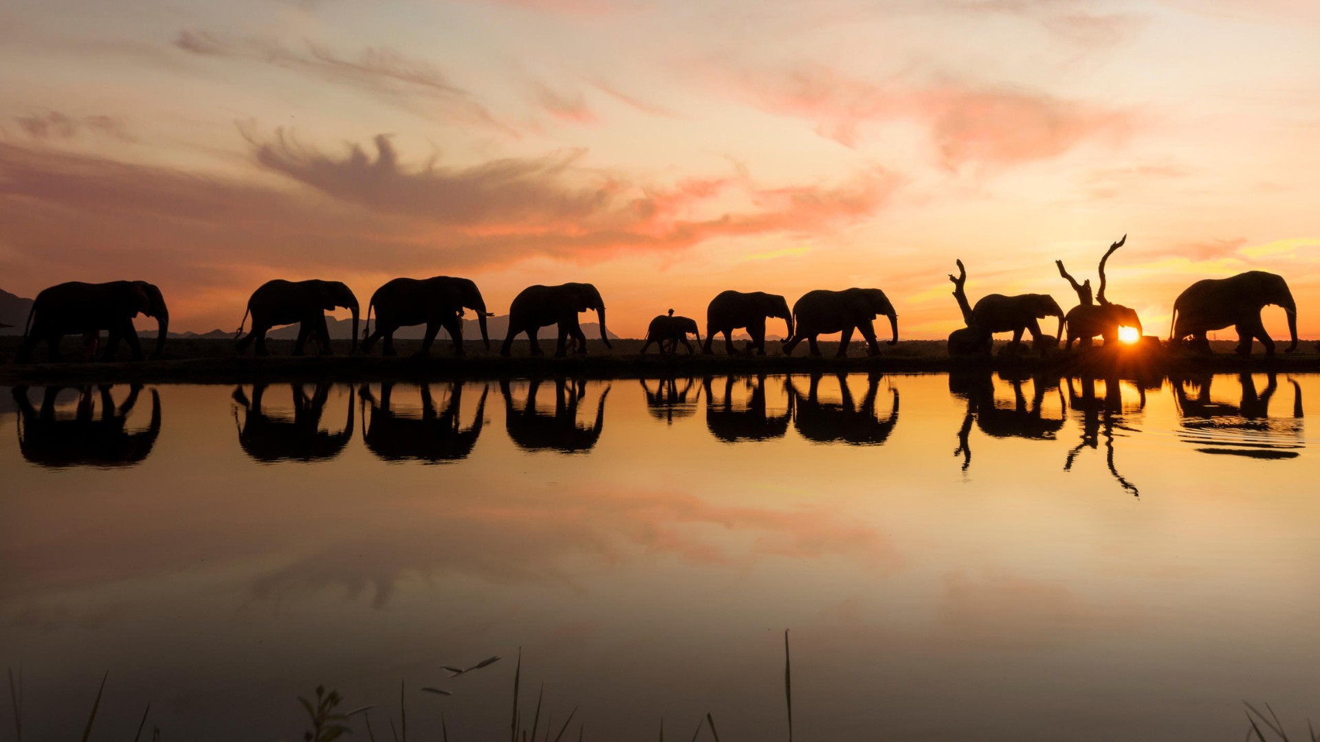 Experience: Wildlife Interaction