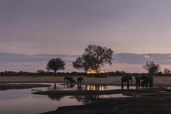 WHY AFRICA?