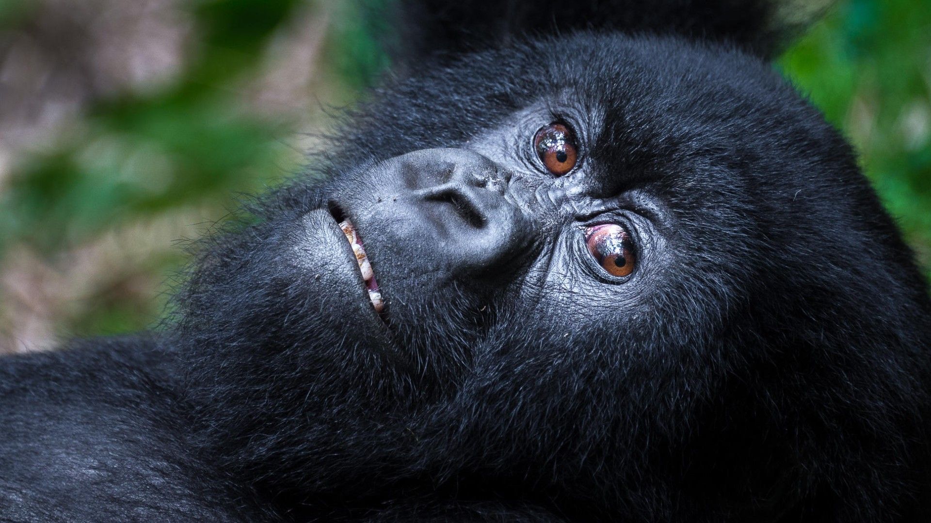 Rwanda